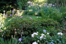 English garden13